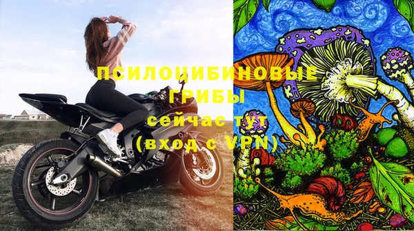 ALPHA PVP Алексин