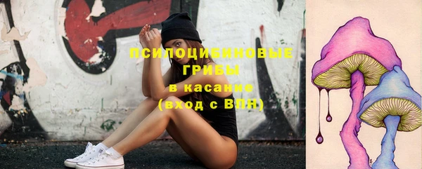 ALPHA PVP Алексин